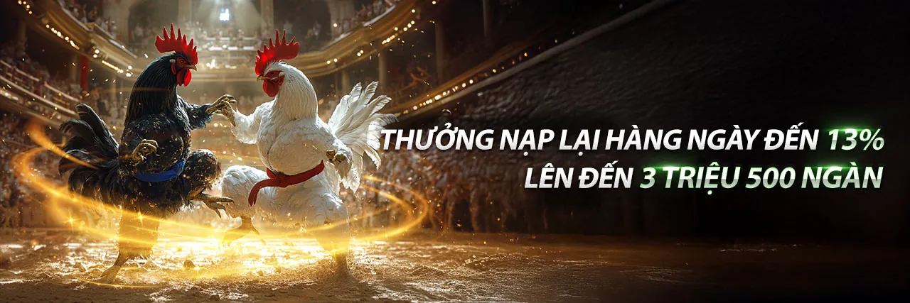 Hình ảnh đại diện cho chính sách Chơi có trách nhiệm của dagac3 hiện đang mở